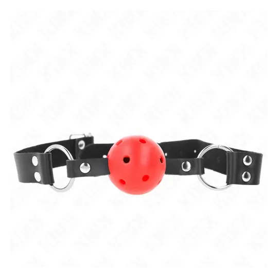 D-240852 KINK COLLAR & GAG