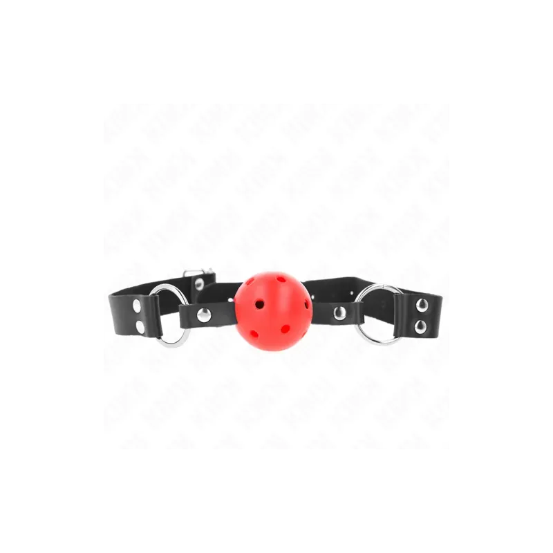 D-240852 KINK COLLAR & GAG