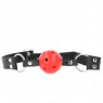 D-240852 KINK COLLAR & GAG