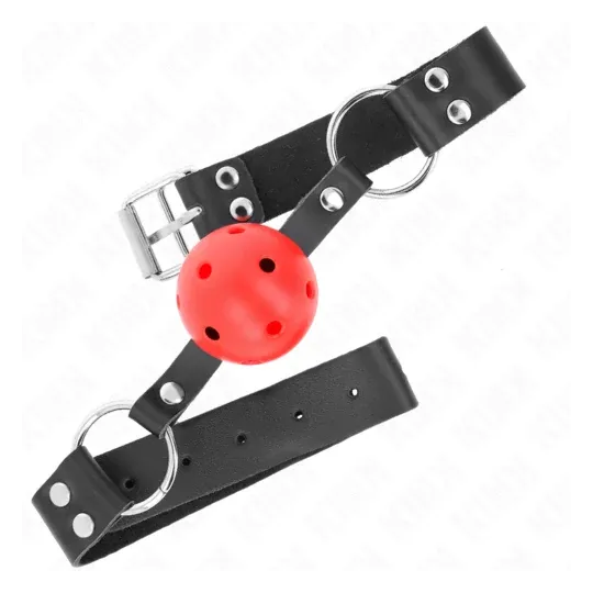 D-240852 KINK COLLAR & GAG