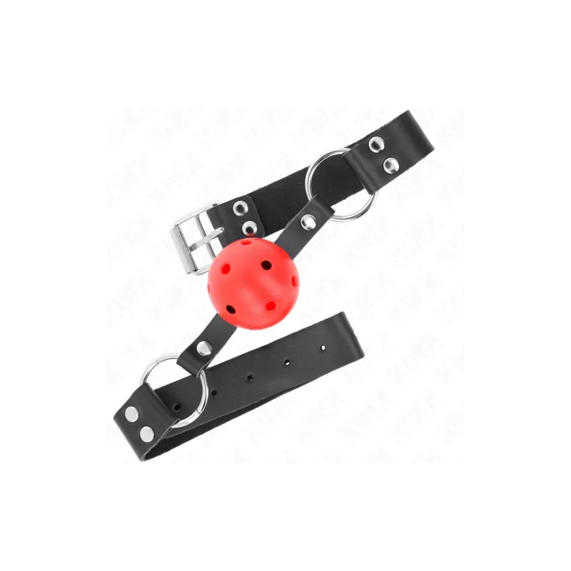 D-240852 KINK COLLAR & GAG