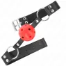 D-240852 KINK COLLAR & GAG