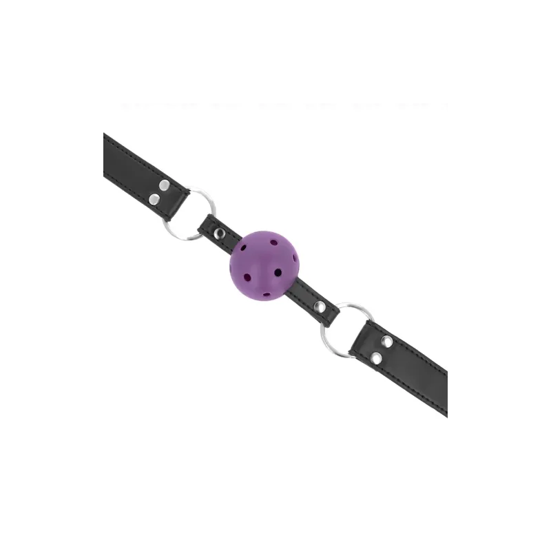 D-240853 KINK COLLAR & GAG