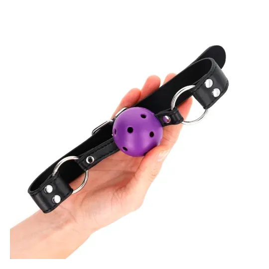 D-240853 KINK COLLAR & GAG