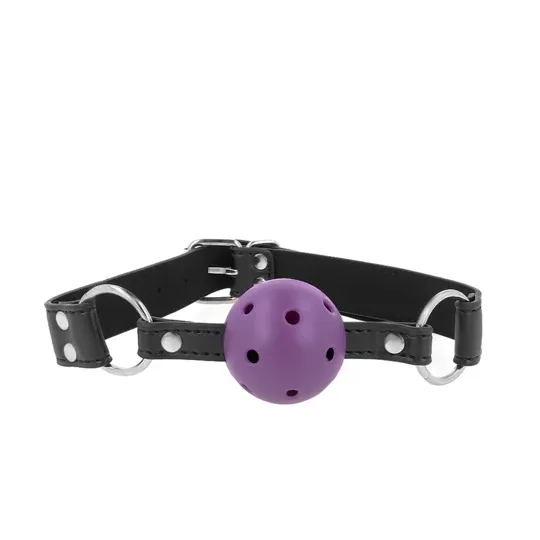 D-240853 KINK COLLAR & GAG