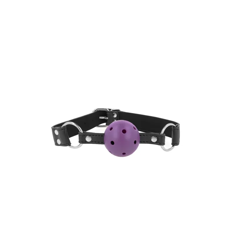 D-240853 KINK COLLAR & GAG