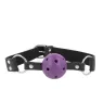 D-240853 KINK COLLAR & GAG