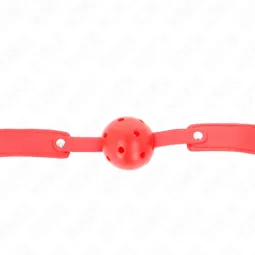 D-240844 KINK COLLAR & GAG