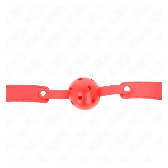 D-240844 KINK COLLAR & GAG