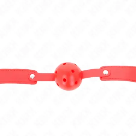 D-240844 KINK COLLAR & GAG