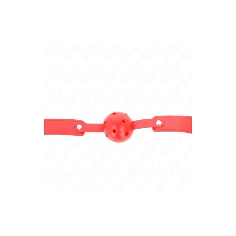 D-240844 KINK COLLAR & GAG