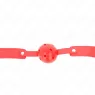 D-240844 KINK COLLAR & GAG