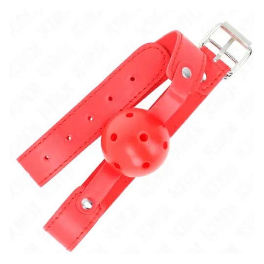 D-240844 KINK COLLAR & GAG