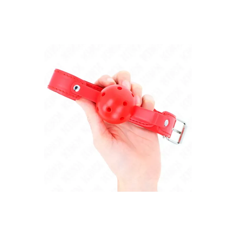 D-240844 KINK COLLAR & GAG