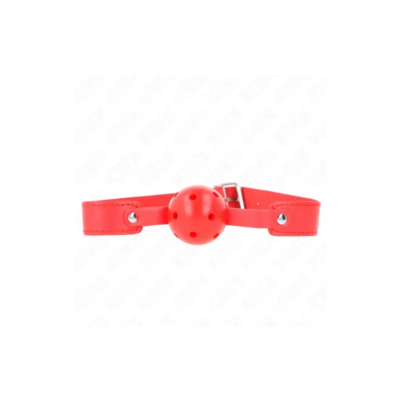 D-240844 KINK COLLAR & GAG