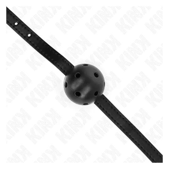 D-240847 KINK COLLAR & GAG