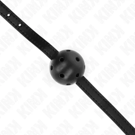 D-240847 KINK COLLAR & GAG
