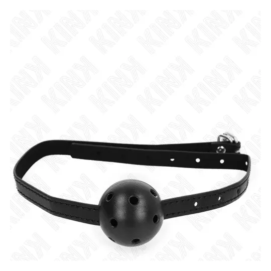 D-240847 KINK COLLAR & GAG