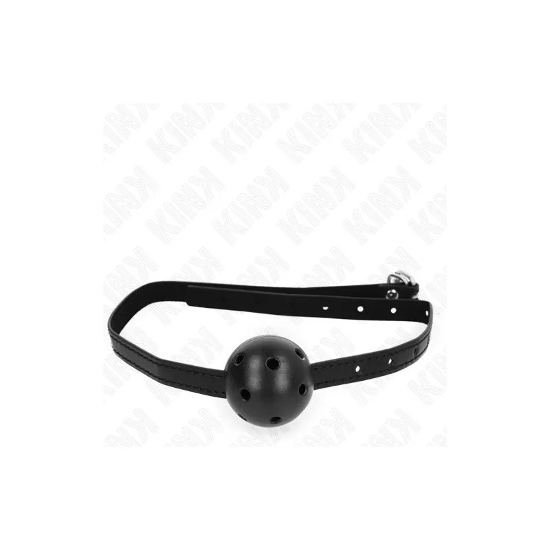 D-240847 KINK COLLAR & GAG