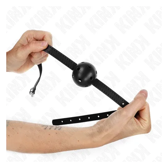 D-240847 KINK COLLAR & GAG