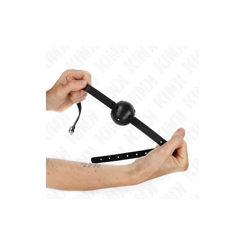 D-240847 KINK COLLAR & GAG