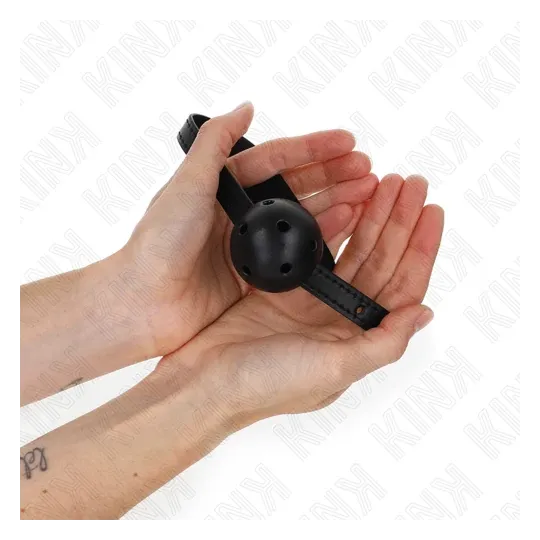 D-240847 KINK COLLAR & GAG