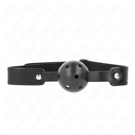 D-240842 KINK COLLAR & GAG