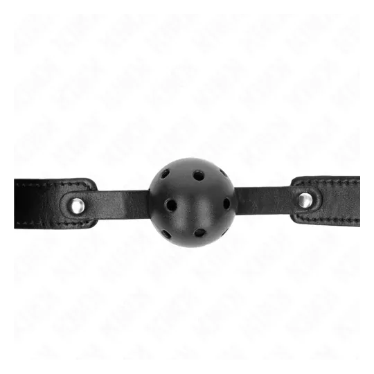 D-240842 KINK COLLAR & GAG