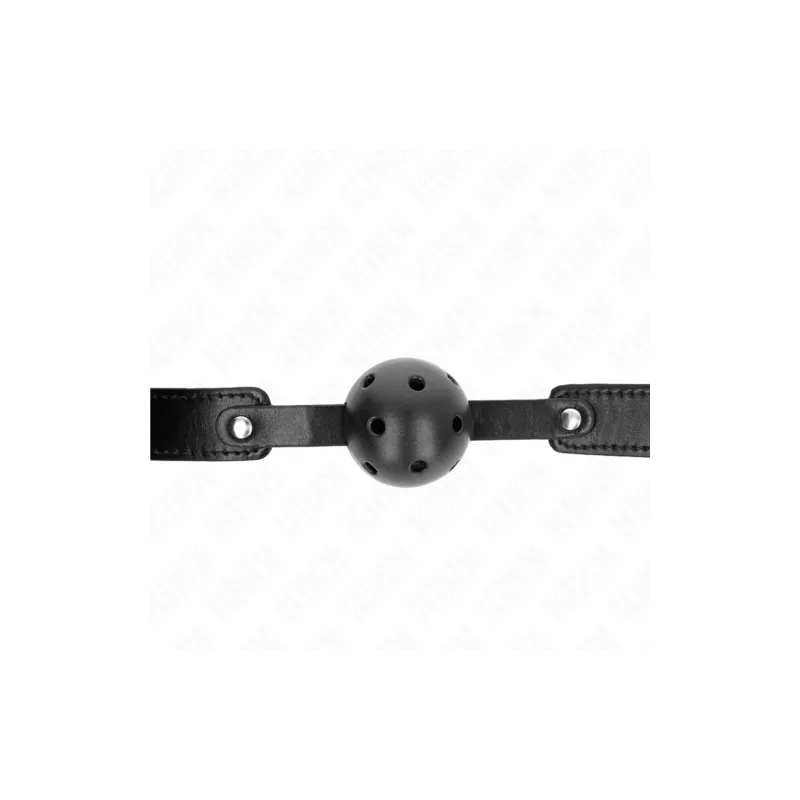 D-240842 KINK COLLAR & GAG