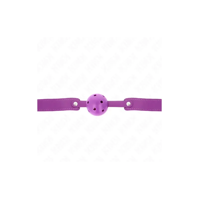 D-240843 KINK COLLAR & GAG