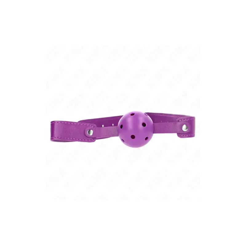 D-240843 KINK COLLAR & GAG