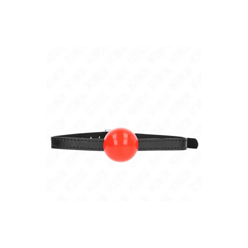 D-240873 KINK COLLAR & GAG
