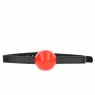 D-240873 KINK COLLAR & GAG