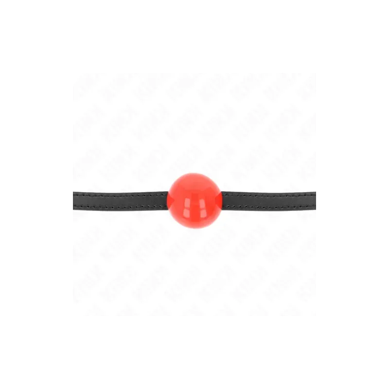 D-240873 KINK COLLAR & GAG
