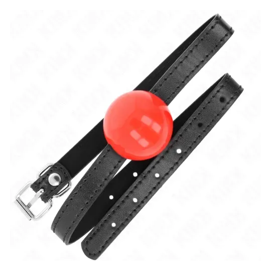 D-240873 KINK COLLAR & GAG