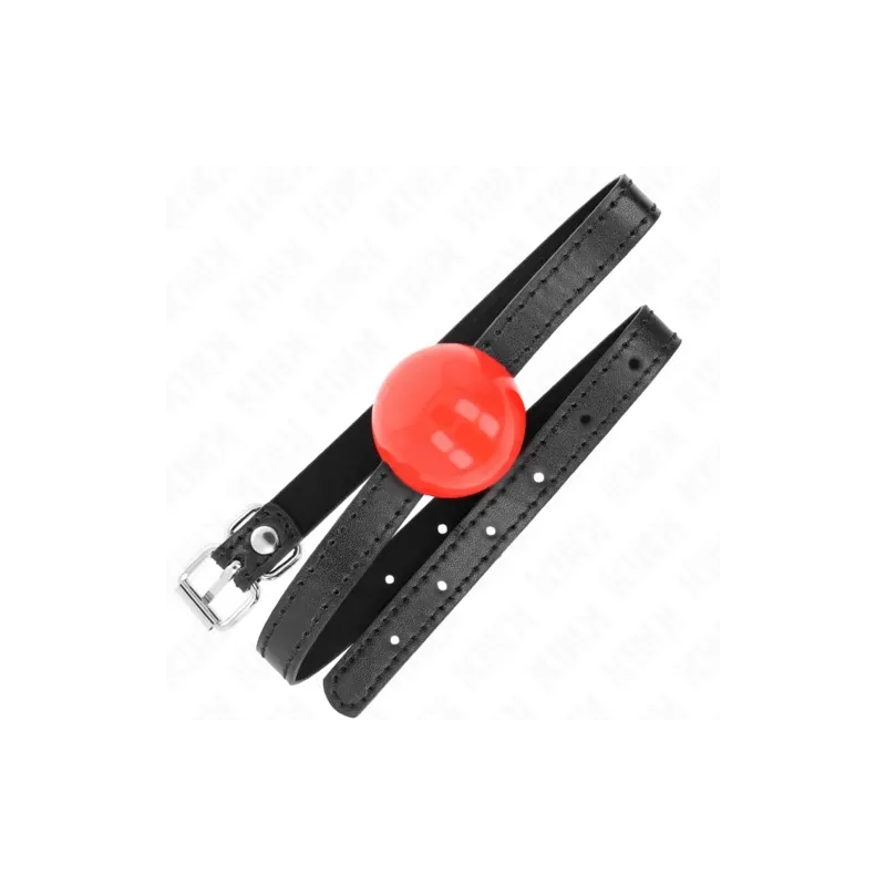 D-240873 KINK COLLAR & GAG