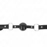 D-240864 KINK COLLAR & GAG