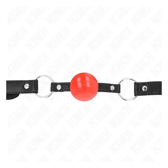 D-240865 KINK COLLAR & GAG