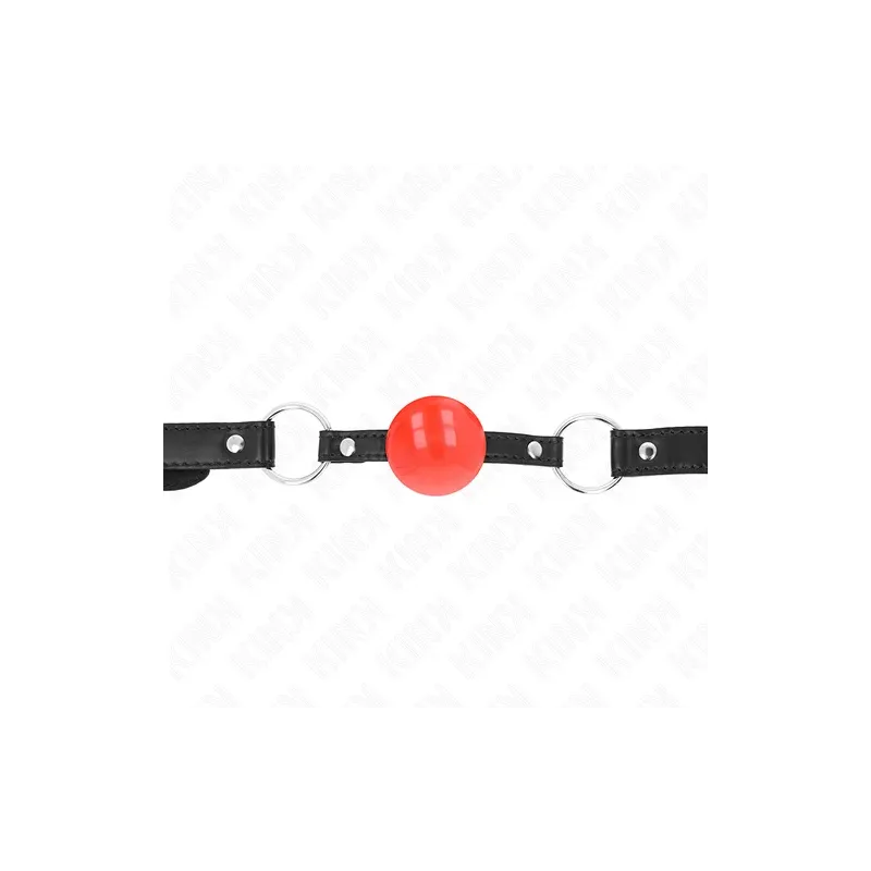 D-240865 KINK COLLAR & GAG