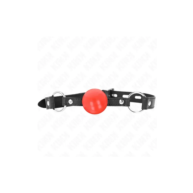 D-240865 KINK COLLAR & GAG