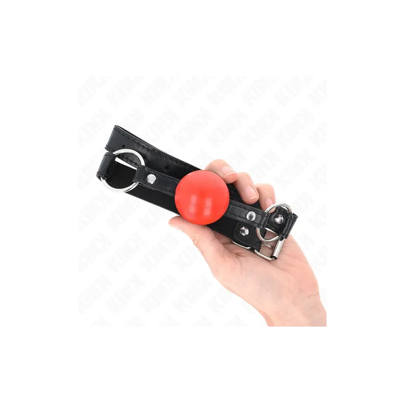 D-240865 KINK COLLAR & GAG