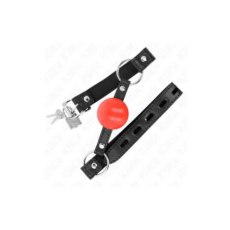 D-240865 KINK COLLAR & GAG