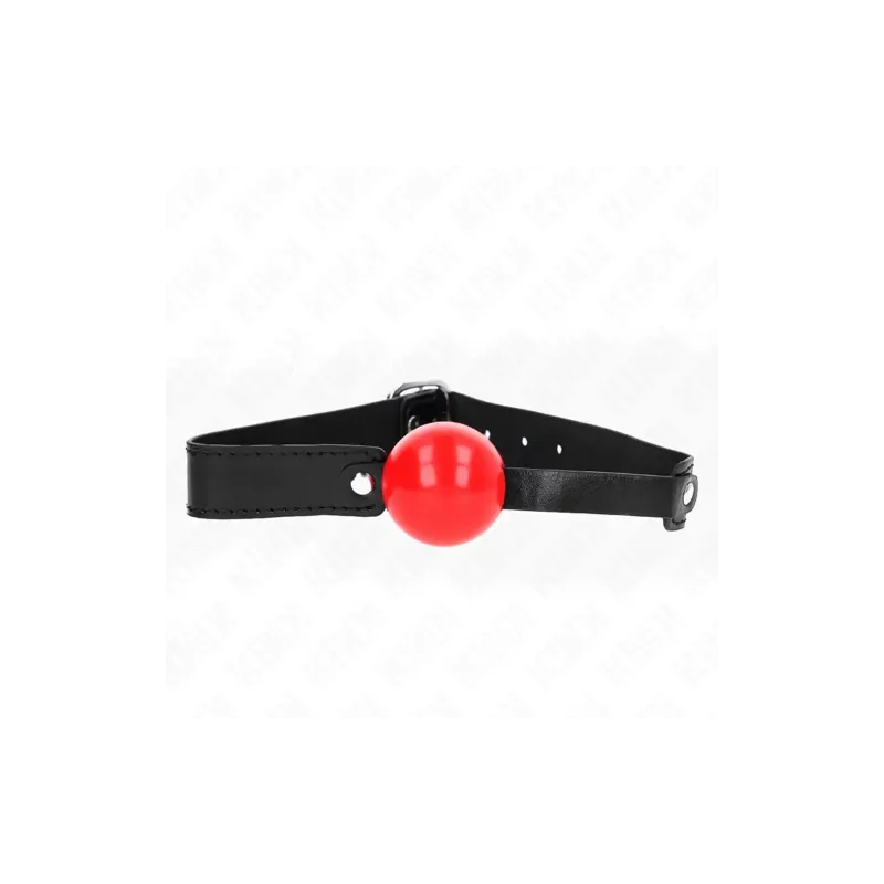 D-240868 KINK COLLAR & GAG