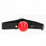 D-240868 KINK COLLAR & GAG
