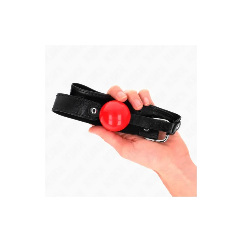 D-240868 KINK COLLAR & GAG