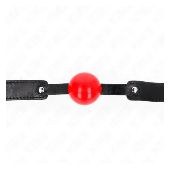 D-240868 KINK COLLAR & GAG