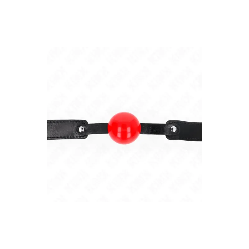 D-240868 KINK COLLAR & GAG