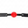 D-240868 KINK COLLAR & GAG