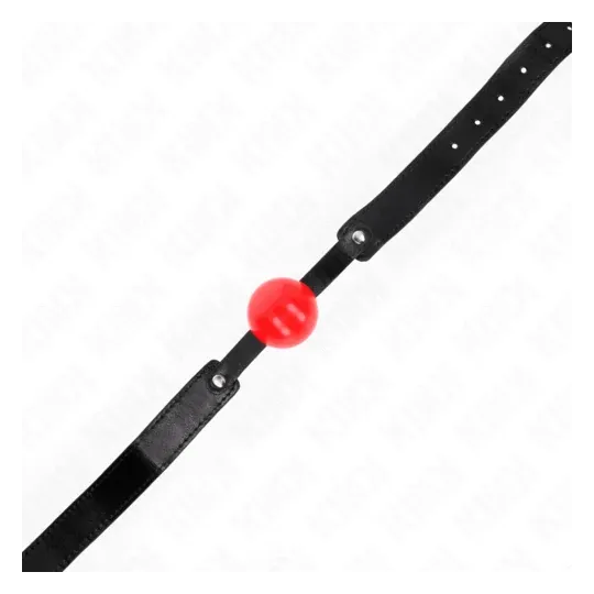 D-240868 KINK COLLAR & GAG