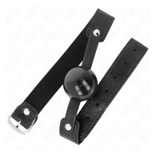 D-240869 KINK COLLAR & GAG